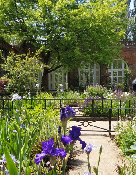 The Orangery during the Corona Virus